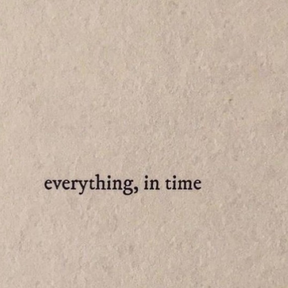 ✨ - Picture 4 of 15